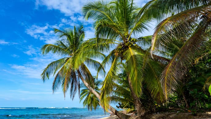 Ausflüge und Standidylle in Bocas del Toro