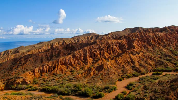 Explore a Fairytale Terrain