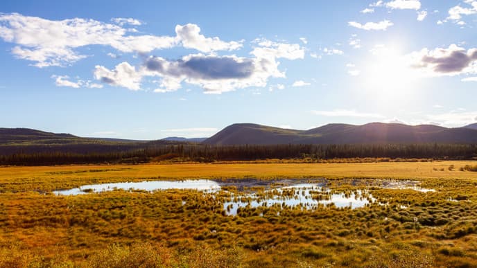 Arrival in Whitehorse