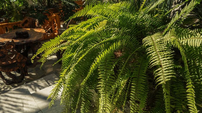 Naturoase in der Gärtnerei Genesis Flora