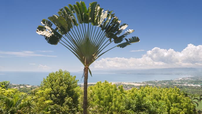 Richtung Osten: Von Andasibe nach Akanin'ny Nofy