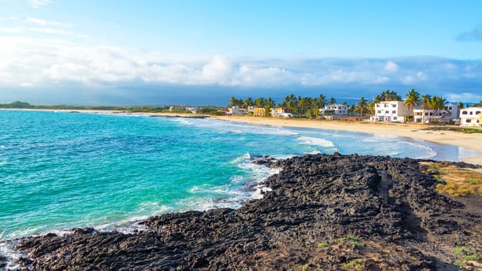 Visit The Giant Tortoise Breeding Center