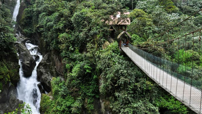 Amazonian animal sanctuary