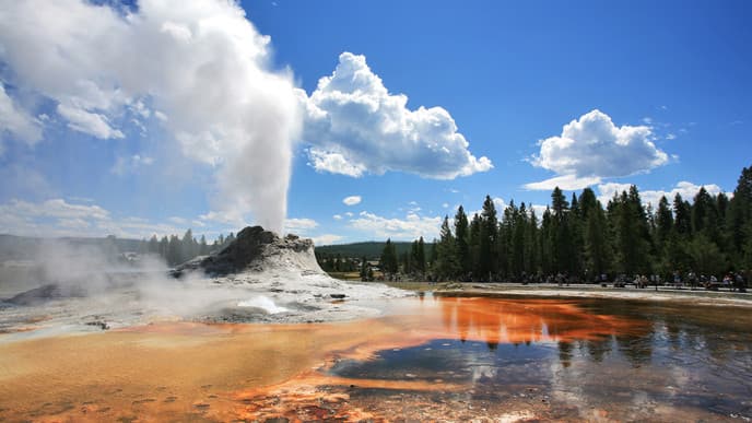 Discover the Golden Circle