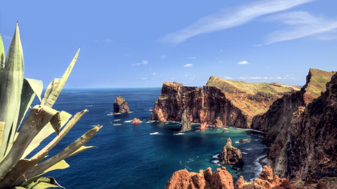 Ganztagesfahrt von Ponta de São Lorenço