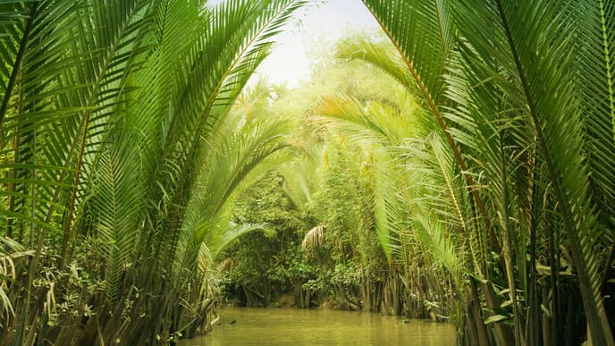 Bootsfahrt durch das Mekong-Delta