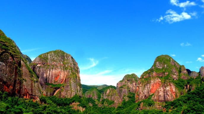 Explore Amboro park forest