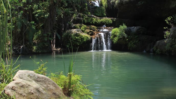 Wanderung nach Wunsch