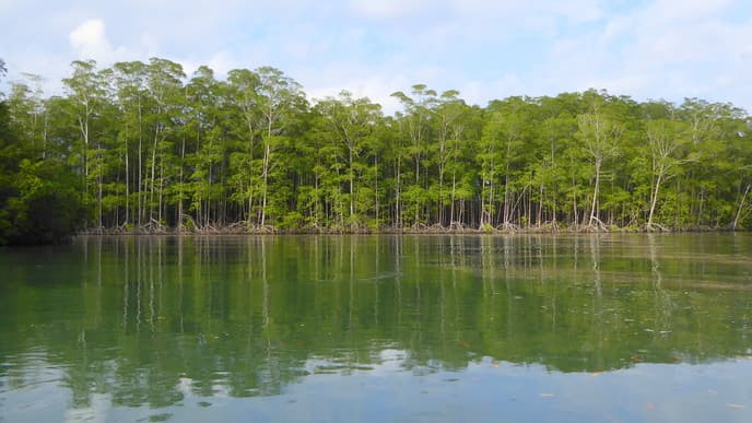 At leisure on the sands of Sámara