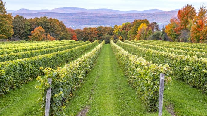 The age-old charms of Île d'Orléans