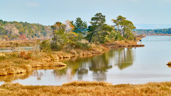 Bathe in the Beauty of Karavasta Lagoon