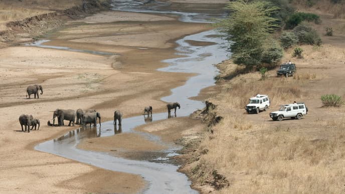 Pirschfahrt im Tarangire Nationalpark