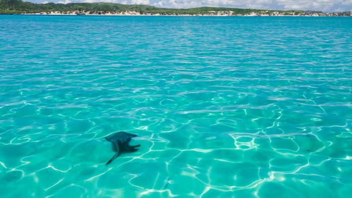 Türkisfarbenes Meer in Antsiranana