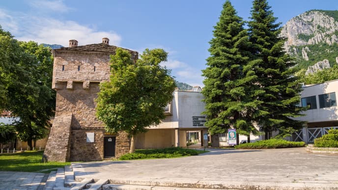 The Rogozen Treasure