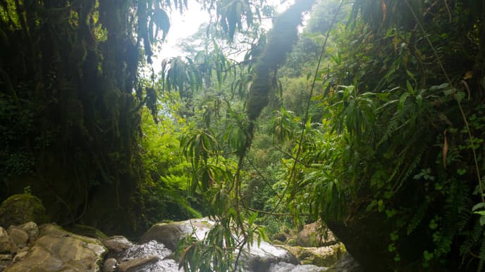 Hike to Kitandra Camp