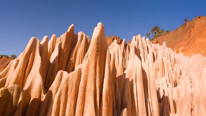 See The Rare Red Tsingy