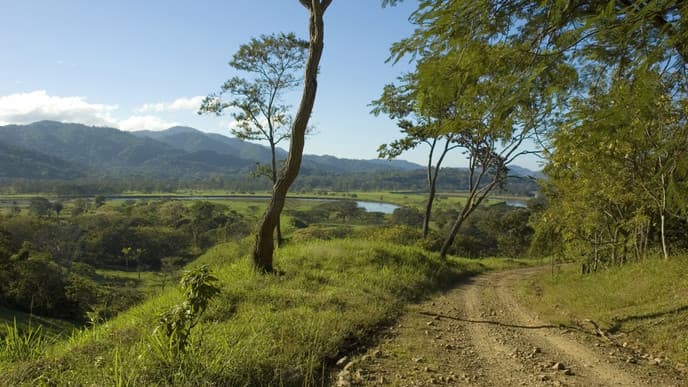 The rugged rainforest of Manuel Antonio