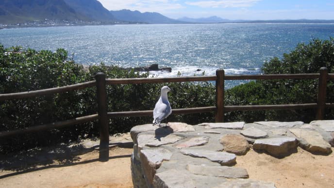 Küstenidylle mit Meerblick