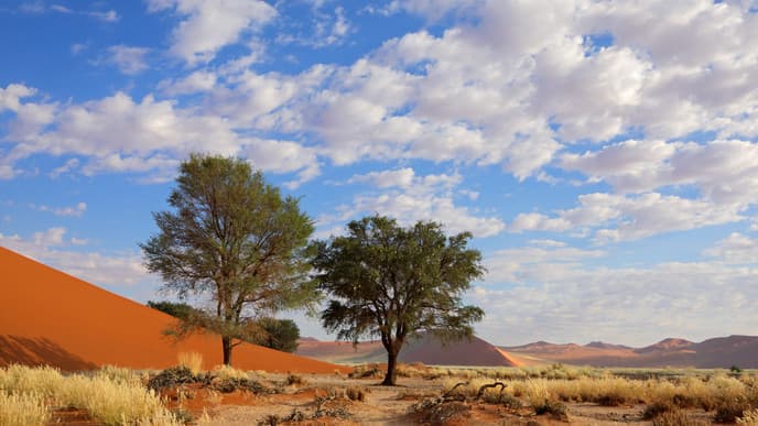 Journey to the coast!