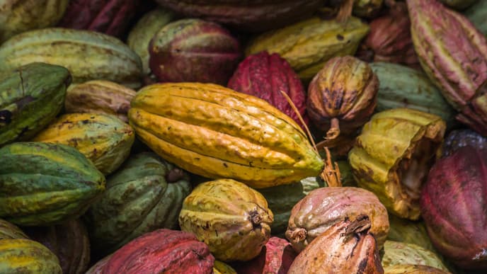 Depart For Ankify Peninsula