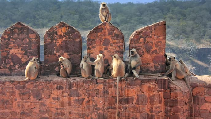 Venture to the Indian countryside