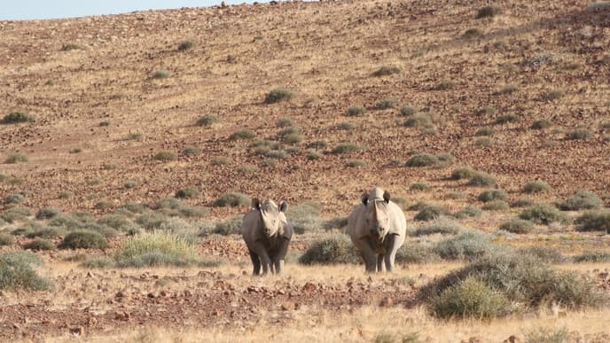 Menschenleere Täler und wilde Tiere