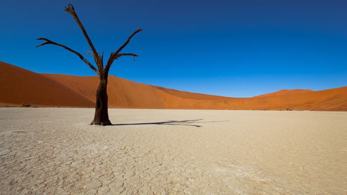 Ausflug zum Sossusvlei
