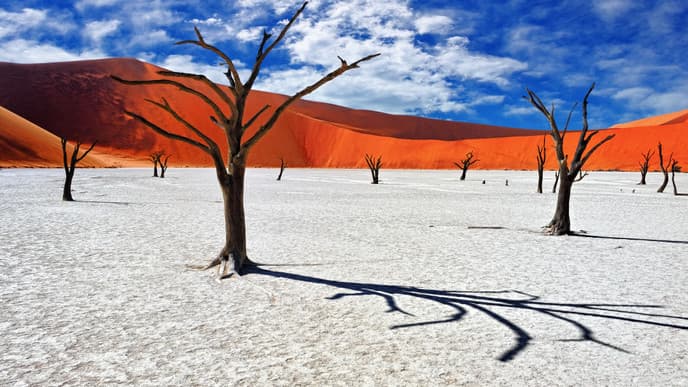 The dunes of Sossusvlei
