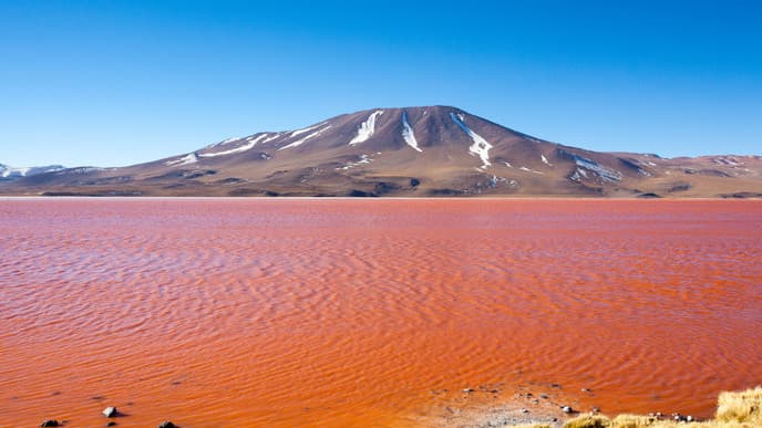 Eduardo Avaroa Andean Flora and Fauna Reserve