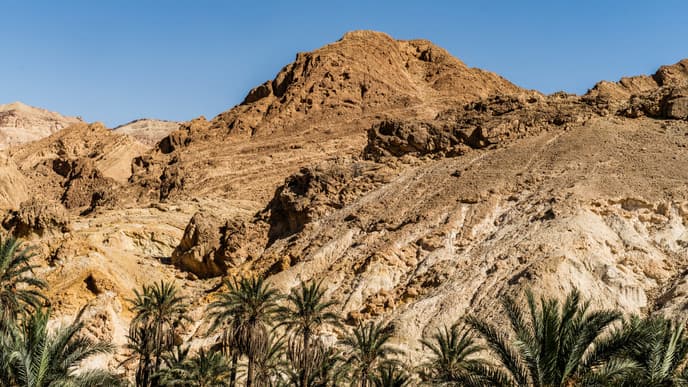 Oasis wonders & cinematic adventures