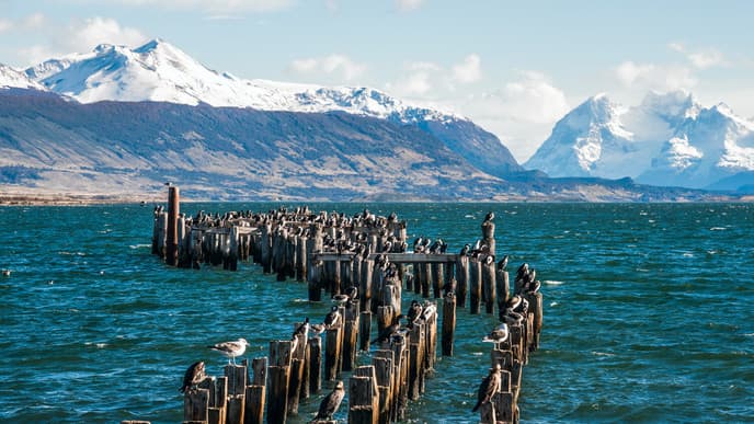 Aufregende Fahrt nach Puerto Natales