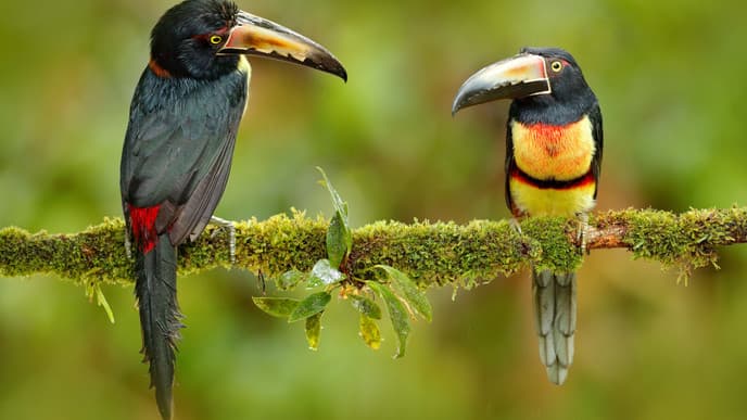 Immersive tour of a local farm