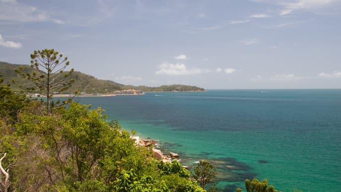 Tropical bliss on Magnetic Island