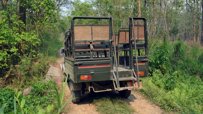 Enjoy a Jeep Safari in Chitwan National Park!