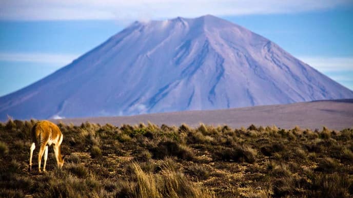 Charming Arequipa