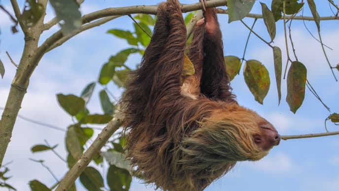 Active pursuits above & below the water's surface