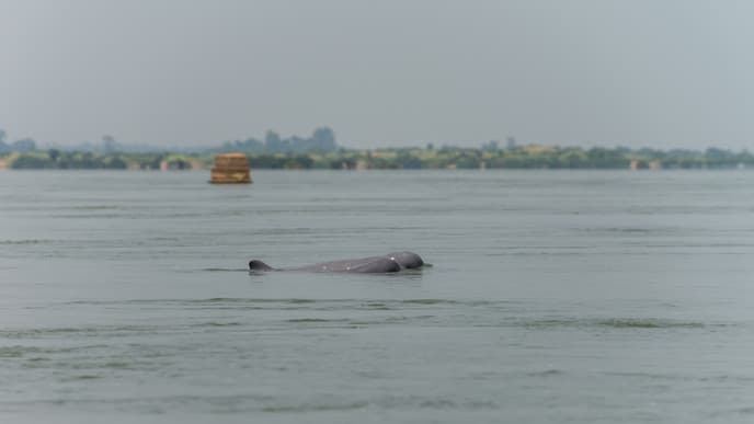 Marvel at the Mekong