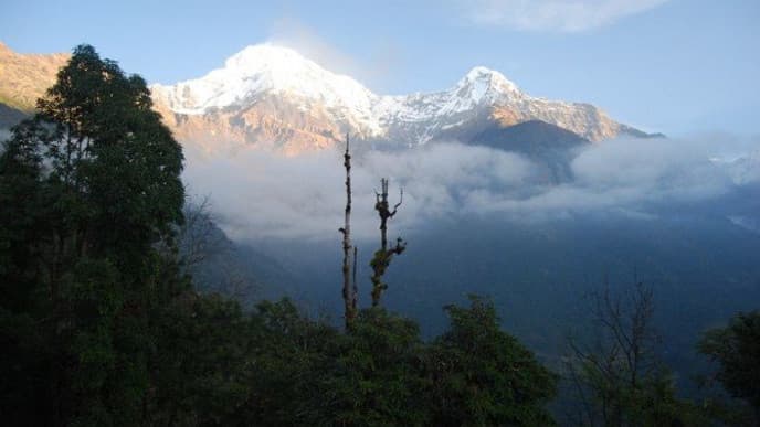 Trek from Bamboo to Jhinu Danda