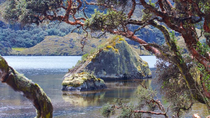 Incredible views in Cajas National Park