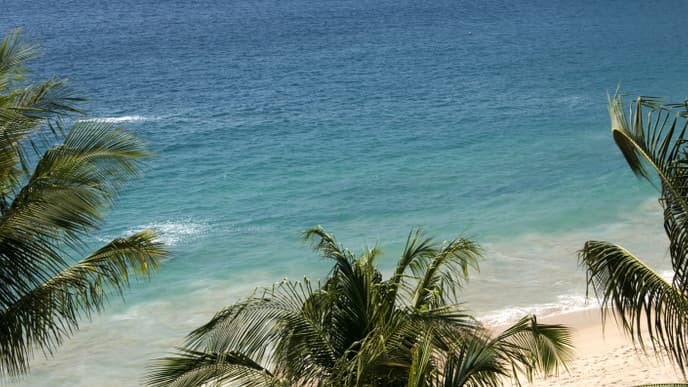 Catch a Flight to the Pacific Coast