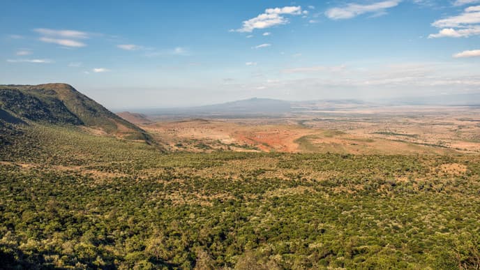 Bye Bye, Tanzania!