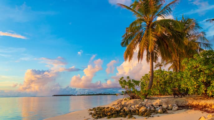 Last day on the beach