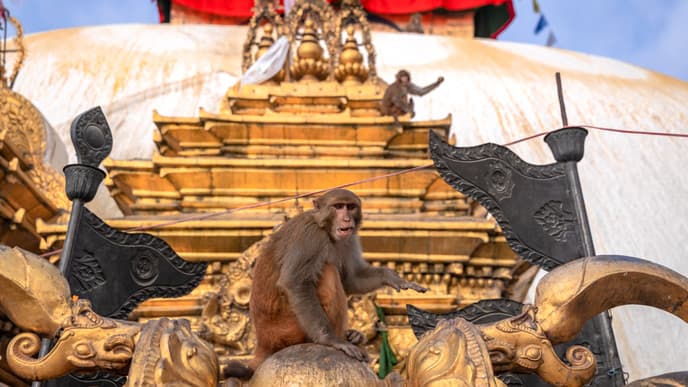 Die Schätze des Kathmandu-Tals
