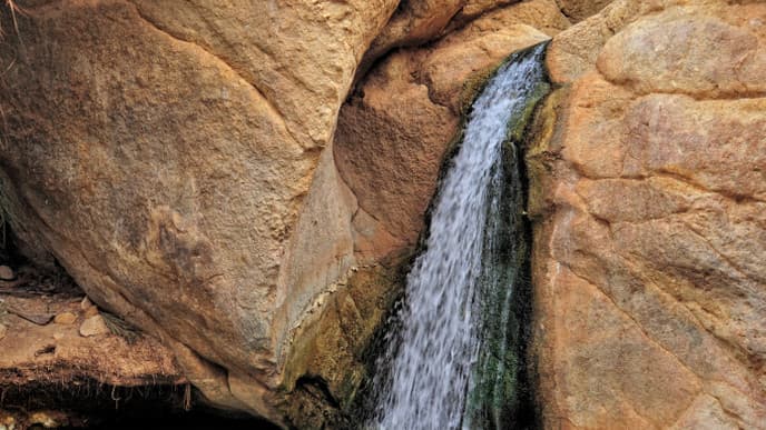 Mountain Oases and Sahara Desert