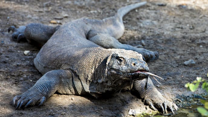 Boat Tour Second Day