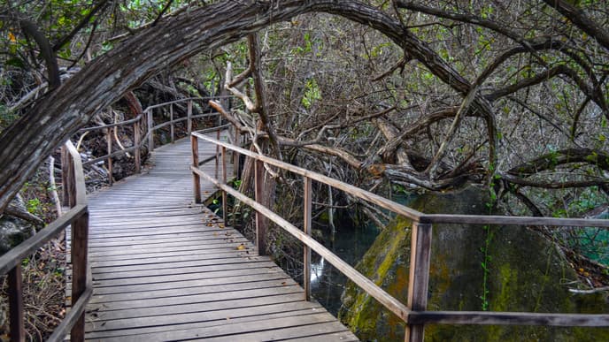 A free day on Santa Cruz