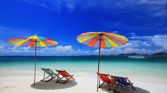 Die einheimische Küche probieren