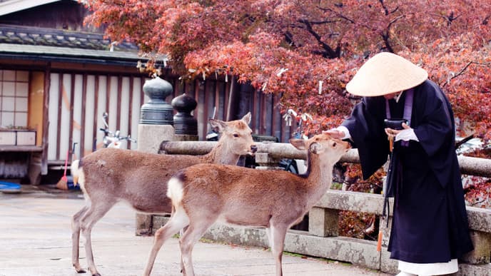 Reise über Osaka nach Nara