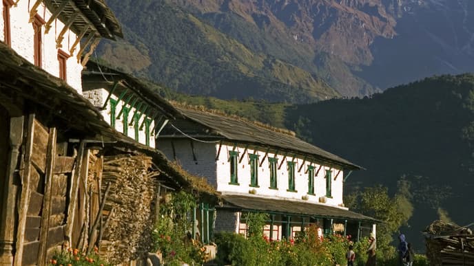 The Trail Between Tadapani To Ghandruk