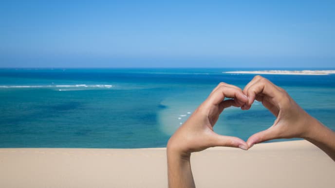 Vom Busch an die Küste...